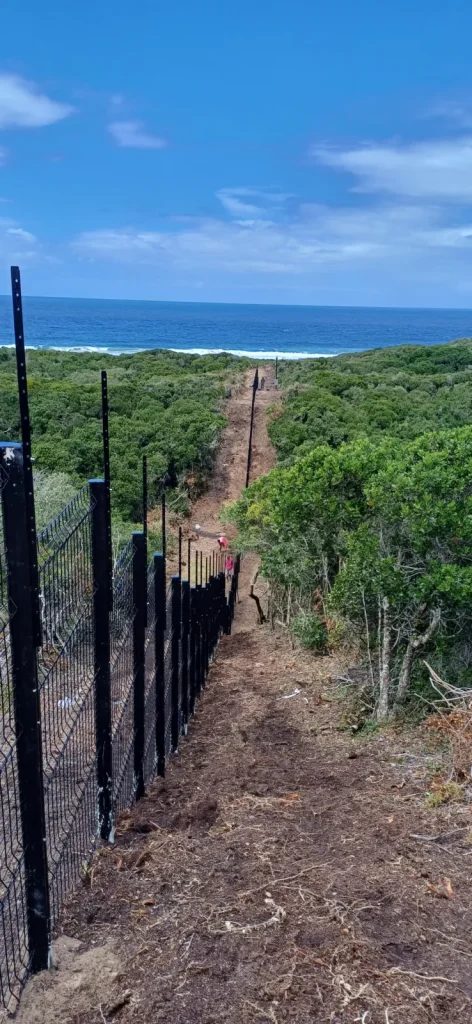 Clearview and electric fence running down through coastal bush towards the sea, coastal estate, Plettenberg Bay